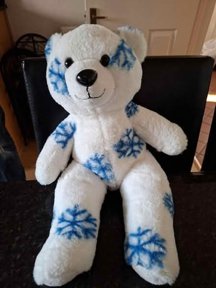 Photo of free Cute Teddy (Woodley RG5) #1