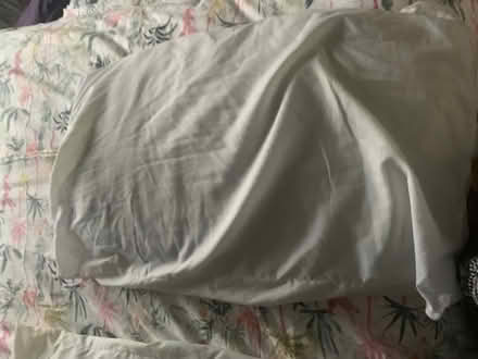 Photo of free Four used Pillows (Gosforth NE3) #2