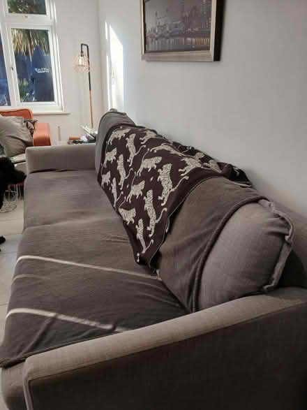 Photo of free Lounge company sofa (Long Eaton NG10) #1