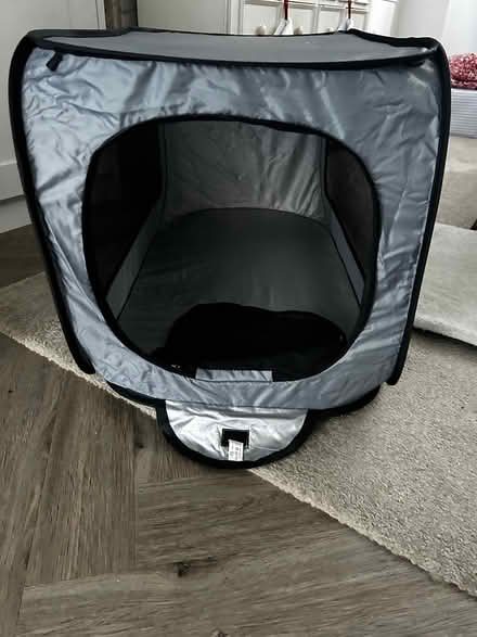 Photo of free Dog Accessories (Tufnell Park NW5) #3