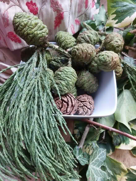 Photo of free Christmas Wreath foliage (Warden Hill GL51) #2