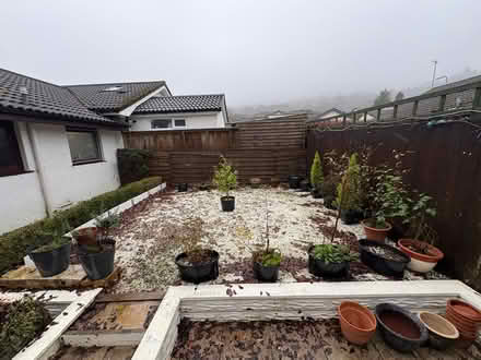 Photo of free Plants in pots (Blackpill SA2) #1