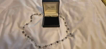 Photo of free Necklace and case (Clanfield) #2