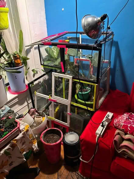 Photo of free Homemade greenhouse (Prospect Lefferts gardens) #1