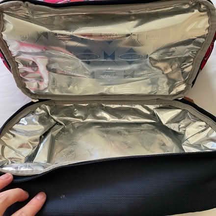 Photo of free Lunch cooler bag & containers (Bethesda, MD) #3
