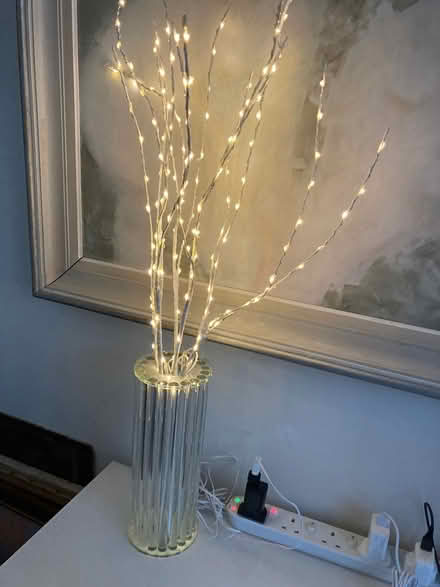 Photo of free Lit Branch lights (Wimbledon Village SW19) #2