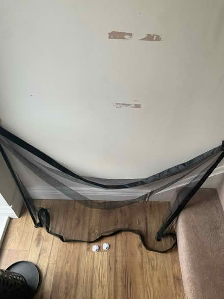 Photo of free Net for pets (Witton Gilbert DH7) #1