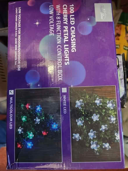 Photo of free Christmas Lights (Molesey KT8) #1