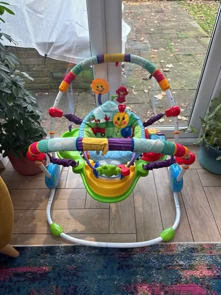 Photo of free Baby Einstein jumperoo (WA10) #1