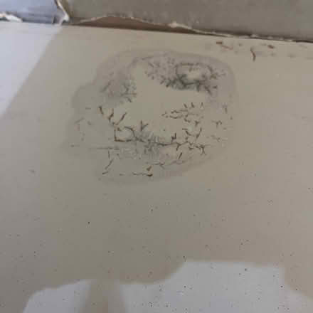 Photo of free Fire place surround (Elland HX5) #4