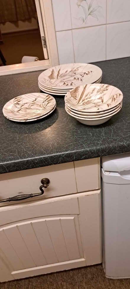 Photo of free Plates and dishes (Wells BA5) #1