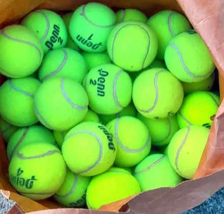 Photo of free Tennis Balls (East San Rafael) #1