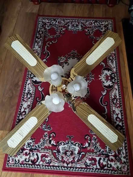 Photo of free Ceiling fan with built-in lamps. (Southport PR8) #1