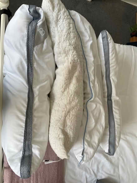 Photo of free Pillows (Waterlooville) #1