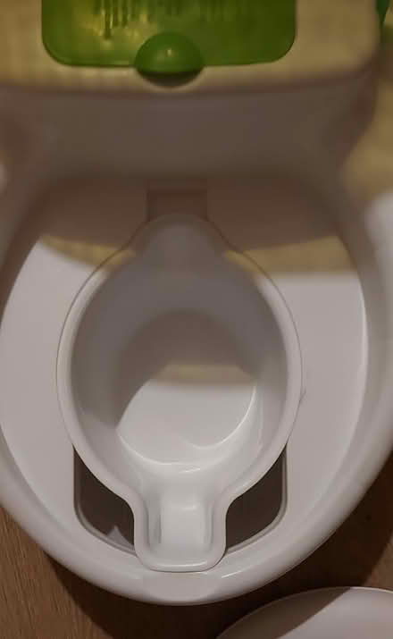 Photo of free Summer Potty seat (Bexley DA5) #3