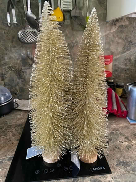 Photo of free Christmas trees x 2 (GL3 Churchdown) #1