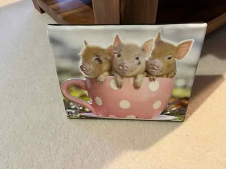 Photo of free Cute picture (Shippon OX14) #1