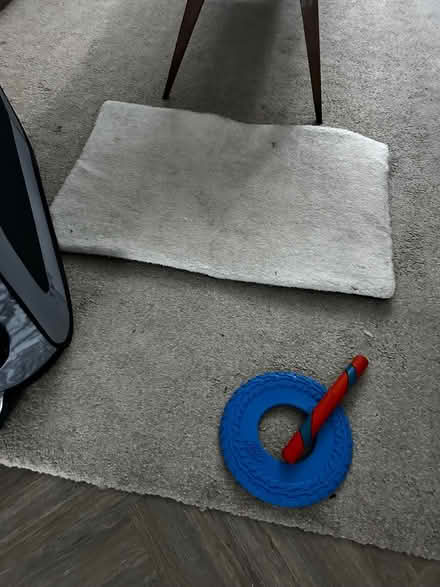 Photo of free Dog Accessories (Tufnell Park NW5) #4