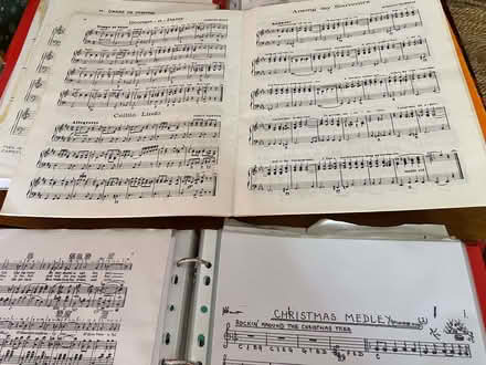 Photo of free sheet music for accordion (Pill BS20) #2