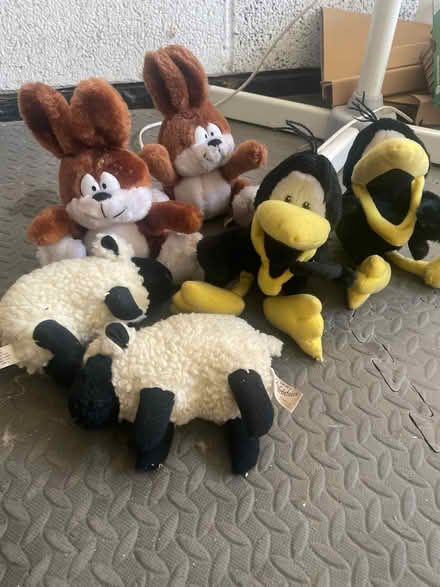 Photo of free Soft toys (SS15) #3