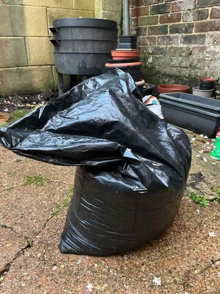 Photo of free compost (Whitehawk BN2) #1