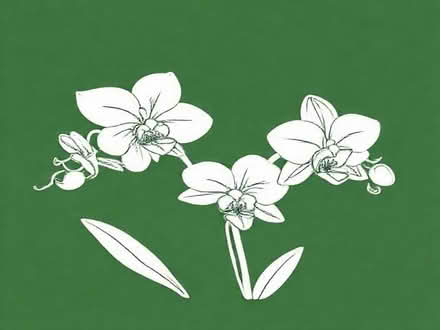 Photo of free orchids (Bisley Road GL5) #1