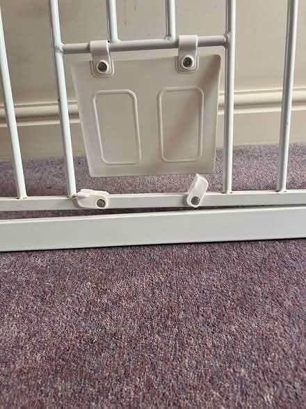 Photo of free Metal pet gate with cat flap (Langney BN23) #2