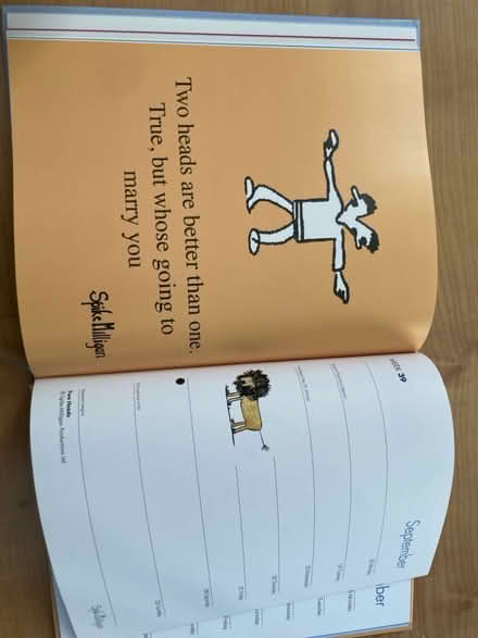 Photo of free Spike Milligan Old Diary (Chineham RG24) #1