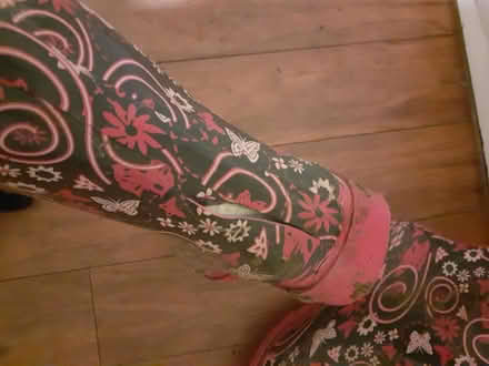 Photo of free Wellies (Marston, Oxford OX3) #2