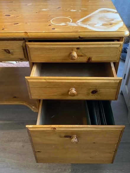 Photo of free Pine (Norbury, SW16) #2