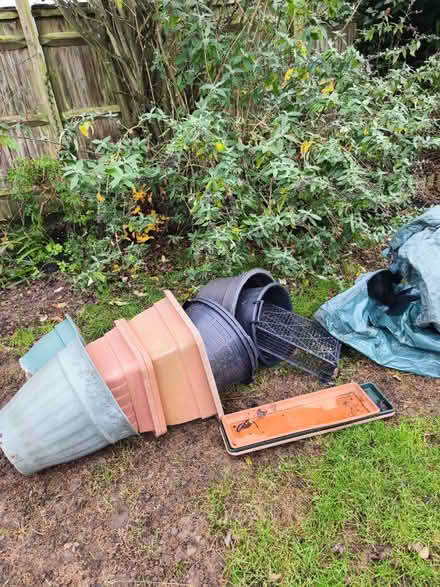 Photo of free Plant pots and trays (TN39 4JT) #2