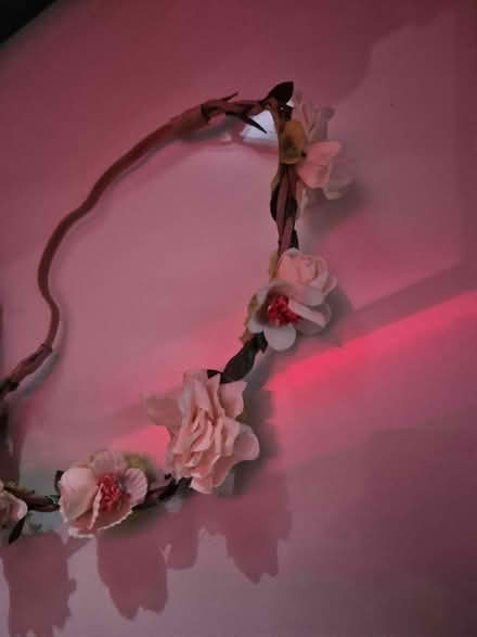 Photo of free Floral headbands (LE77AD) #3