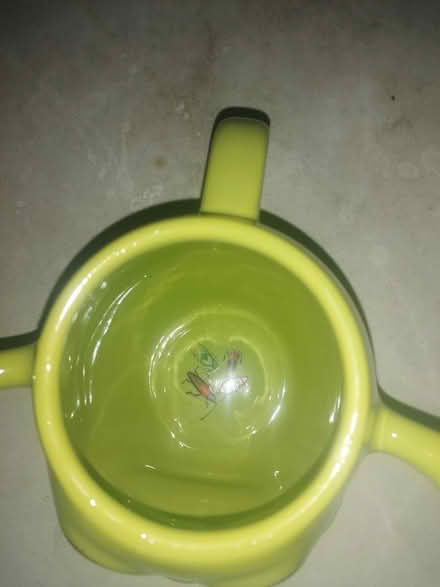 Photo of free Mug (Parkstone BH14) #3