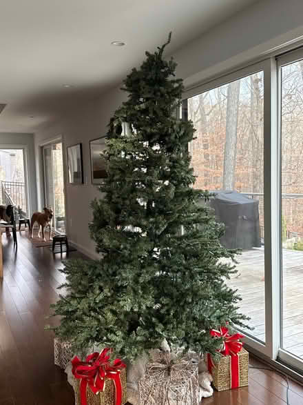 Photo of free Artificial Christmas Tree (The Downs, Annapolis) #1