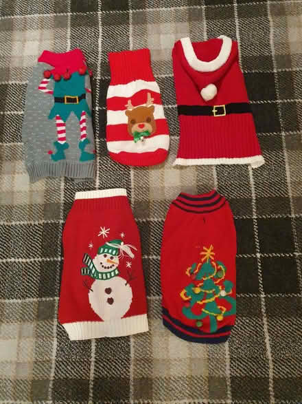 Photo of free Dogs' Xmas jumpers! (Penysarn LL69) #1