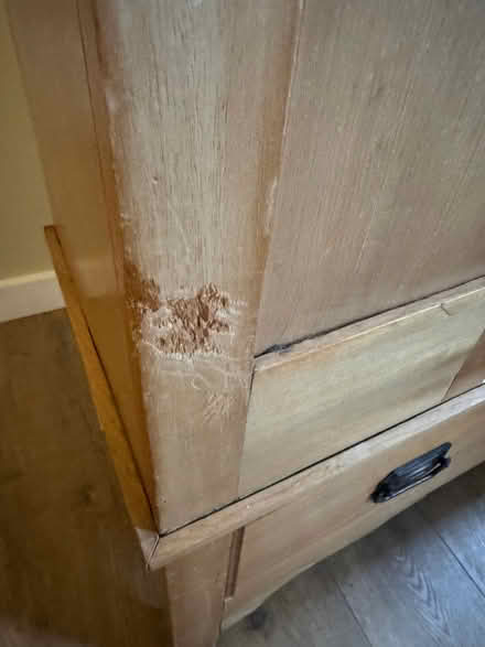 Photo of free Coat cupboard (Liphook GU30) #4