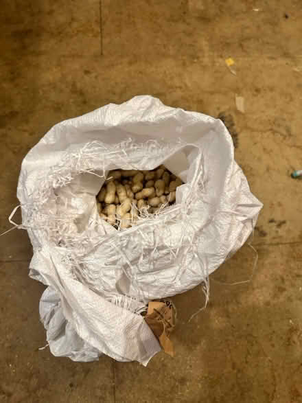 Photo of free Peanuts (LU5 5HX) #2