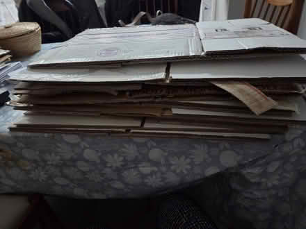 Photo of free Cardboard boxes (SE13) #1