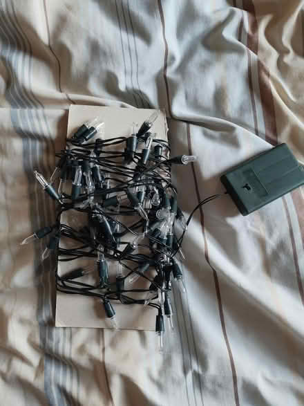 Photo of free Coloured Tree lights (TN39) #1