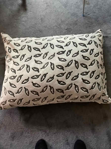 Photo of free Pet Bed (Norcot RG30) #1