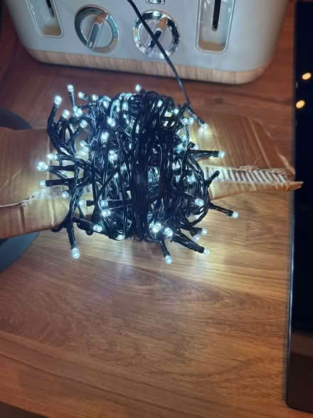 Photo of free Tree lights (Tonbridge TN9) #2