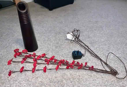 Photo of free Illuminated Plug in Floral Stems. (Kendal LA9) #3