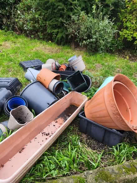 Photo of free Plant pots and trays (TN39 4JT) #4