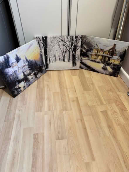 Photo of free Light up Christmas Pictures (Ampthill) #1