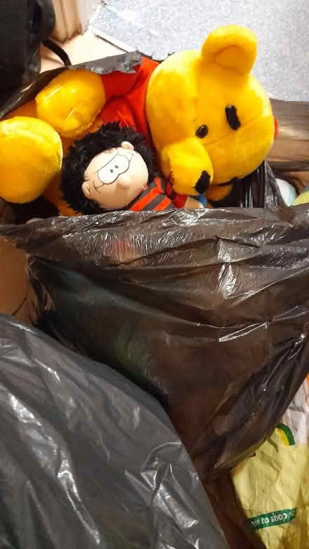 Photo of free Teddys (Netherley L27) #1