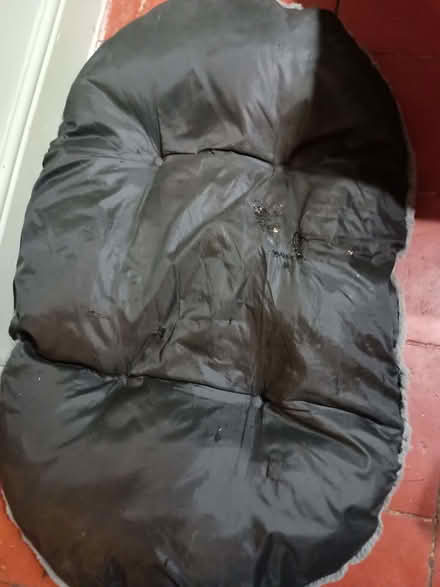 Photo of free Dog bed (Charlton Kings GL52) #2