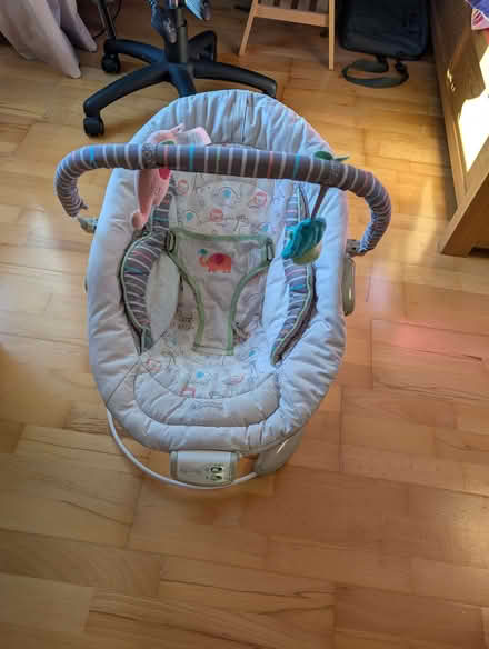 Photo of free Baby bouncer (Didcot OX11) #4