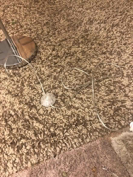 Photo of free Standard Lamp (Wrexham) #2