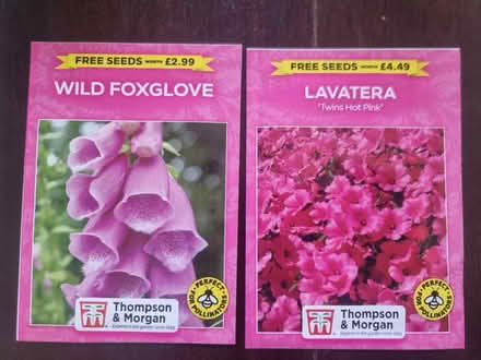 Photo of free Pink flower seeds (Abingdon Oxfordshire OX14) #1