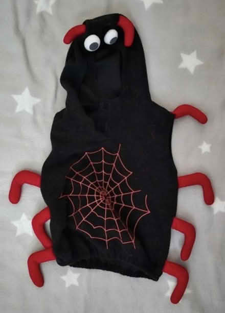 Photo of free Toddler's spider dress up jumper (Leigh Park PO9) #1
